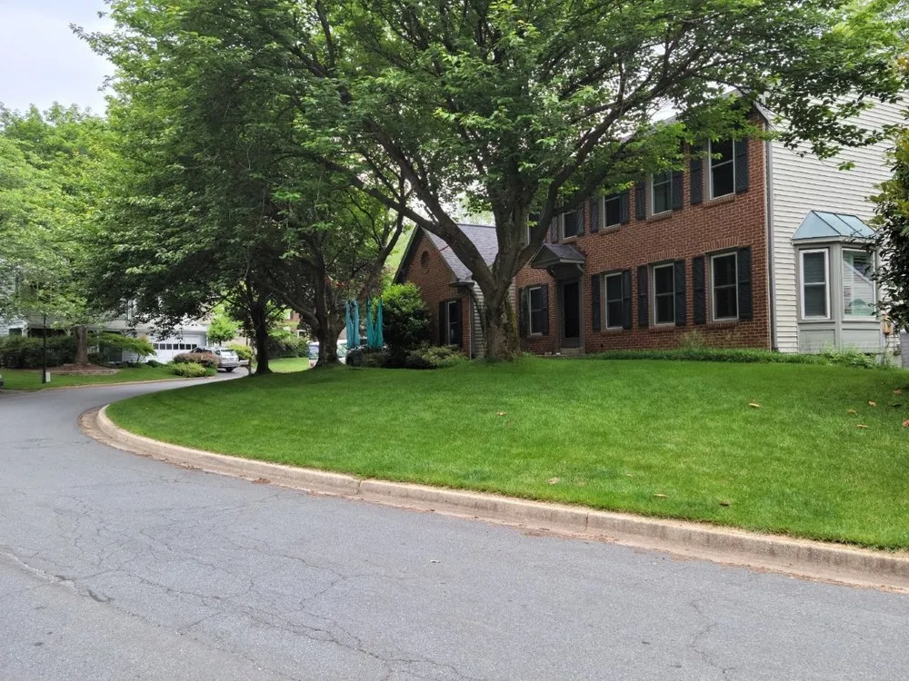 Affordable landscaping services in Rosedale, MD - American Lawn And Tree Specialists