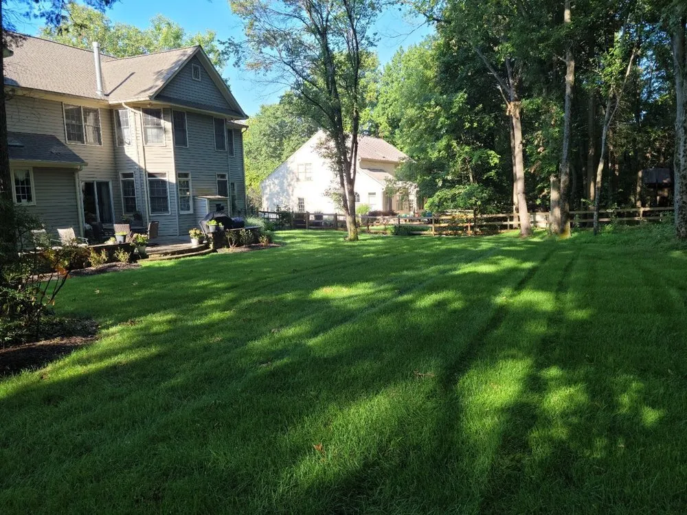 Professional landscape installation with custom design across Rosedale, MD - American Lawn And Tree Specialists