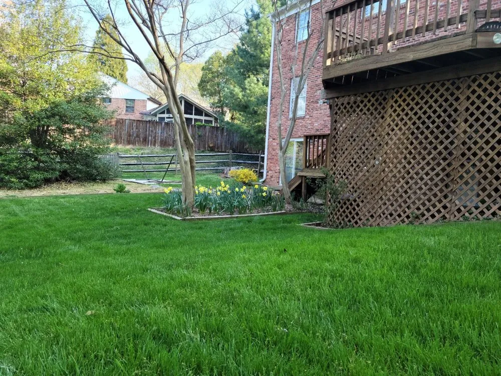 Reliable yard maintenance for outdoor upgrades across Rosedale, MD - American Lawn And Tree Specialists