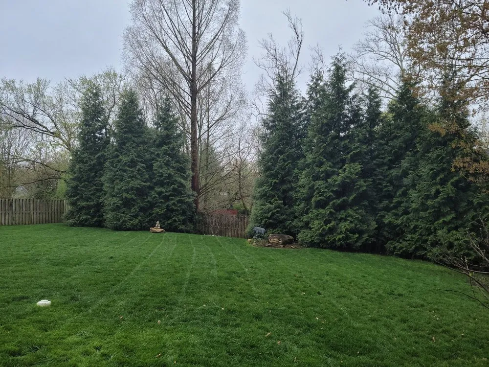 Trusted garden landscaping in Rosedale, MD - American Lawn And Tree Specialists