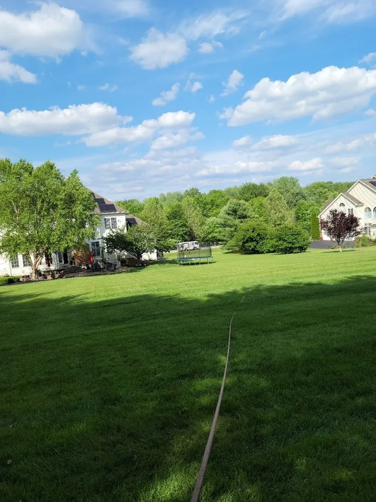 Reliable yard maintenance with custom design in Rosedale, MD by American Lawn And Tree Specialists