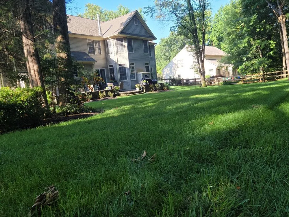Expert garden landscaping for year-round maintenance across Rosedale, MD - American Lawn And Tree Specialists
