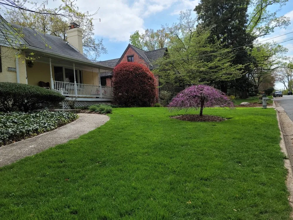 Expert residential landscaping in Rosedale, MD by American Lawn And Tree Specialists