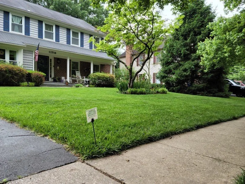 Trusted yard cleanup service in Rosedale, MD by American Lawn And Tree Specialists