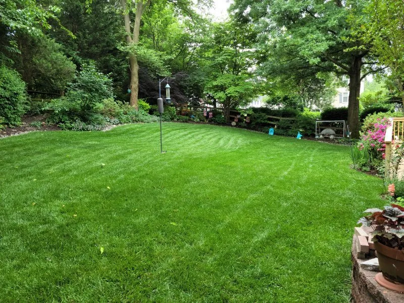 Professional lawn care service for homes in Rosedale, MD by American Lawn And Tree Specialists