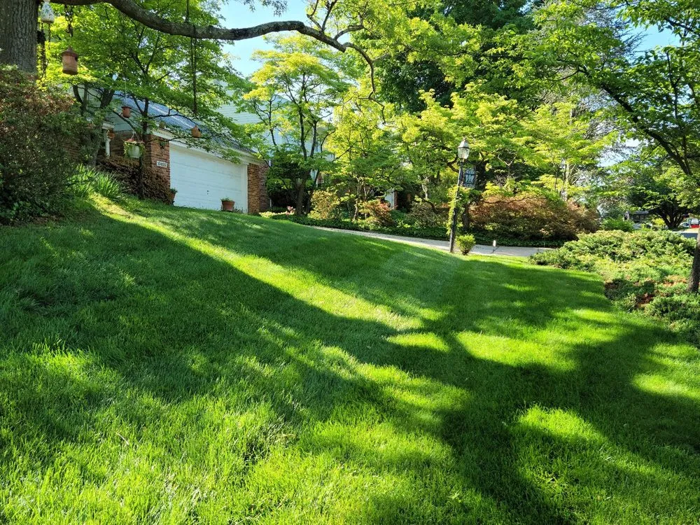 Local outdoor landscaping with custom design in Rosedale, MD by American Lawn And Tree Specialists