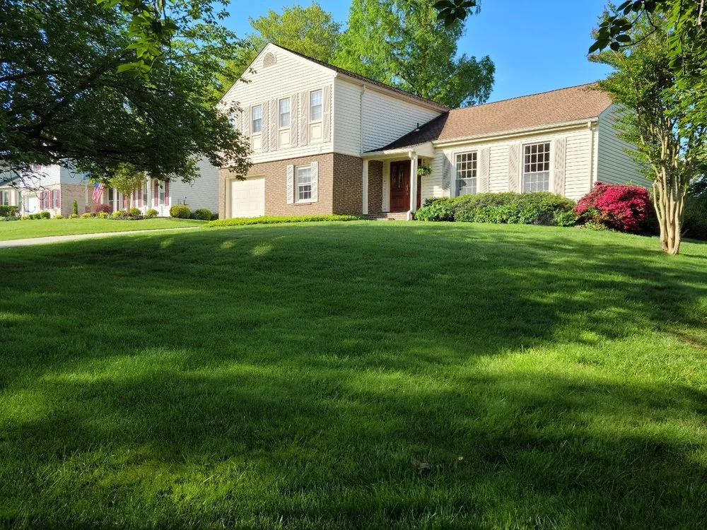 Local landscape design in Rosedale, MD - American Lawn And Tree Specialists