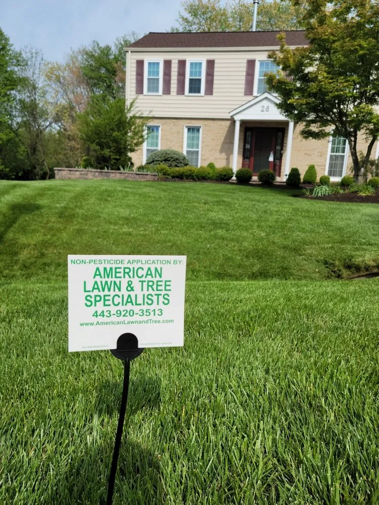 Reliable landscaping services experts serving Rosedale, MD - American Lawn And Tree Specialists