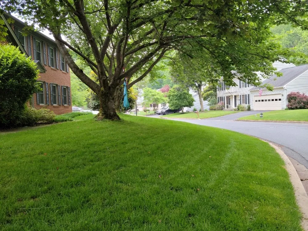 Professional residential landscaping with custom design across Rosedale, MD - American Lawn And Tree Specialists