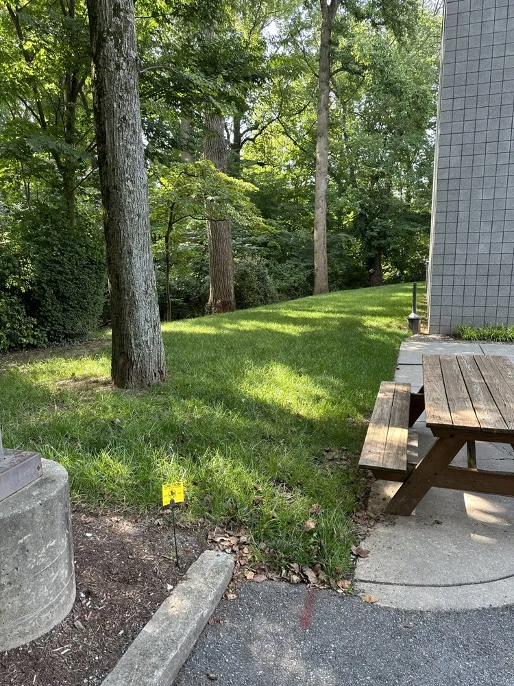 Local landscape design with custom design across Sykesville, MD - American Lawn and Tree Specialists