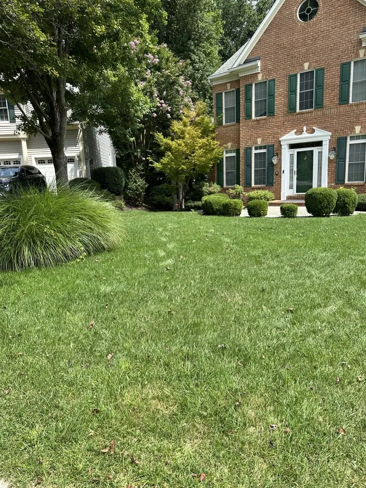 Affordable outdoor landscaping in Sykesville, MD by American Lawn and Tree Specialists