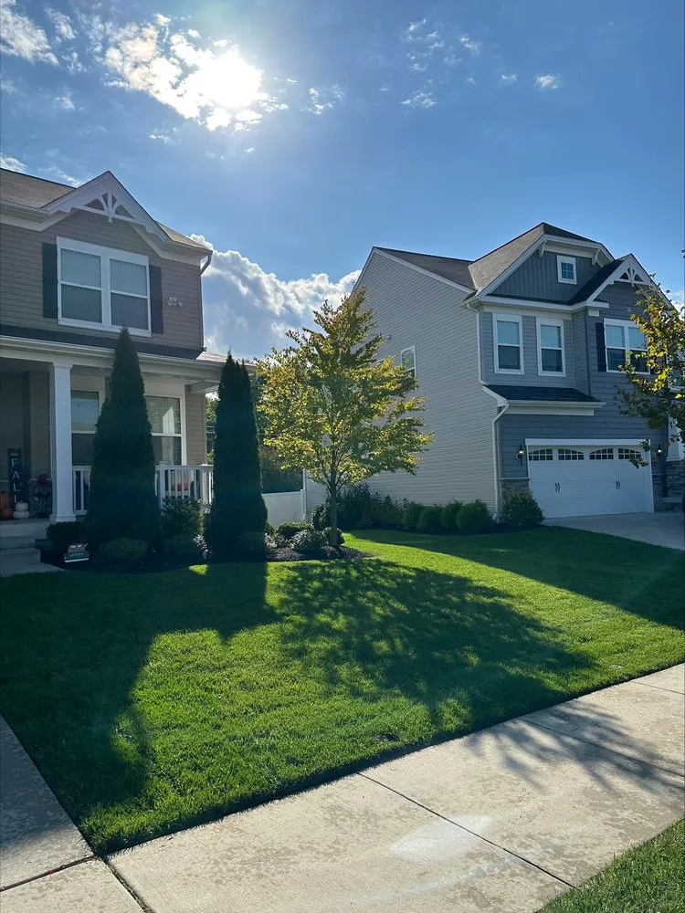 Top-rated lawn care service for beautiful yards across Sykesville, MD - American Lawn and Tree Specialists