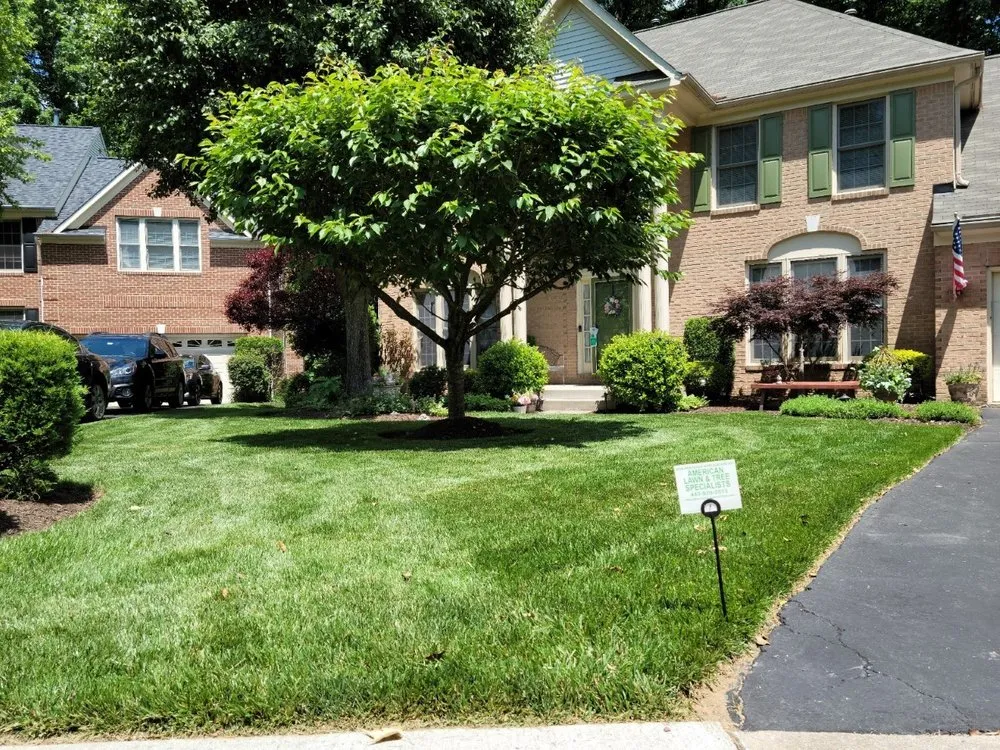 Local residential landscaping experts serving Sykesville, MD - American Lawn and Tree Specialists