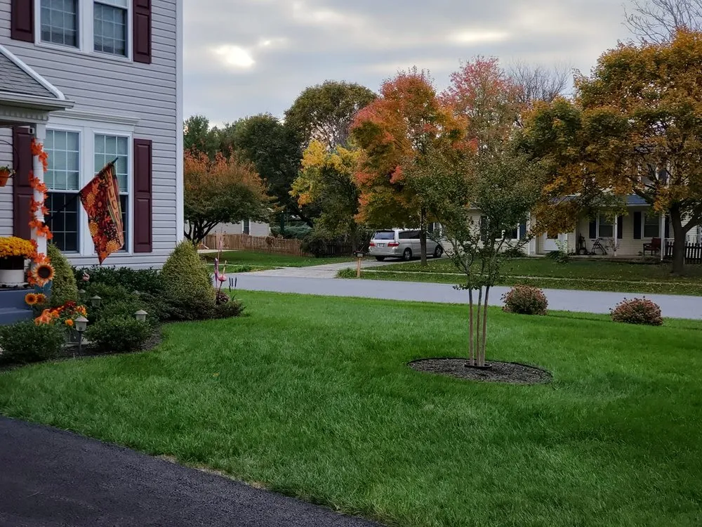 Top-rated lawn care service in Sykesville, MD - American Lawn and Tree Specialists
