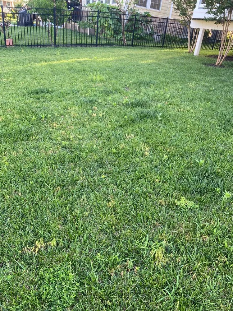 Professional outdoor landscaping near you across Leesburg, VA - American Lawn Brothers