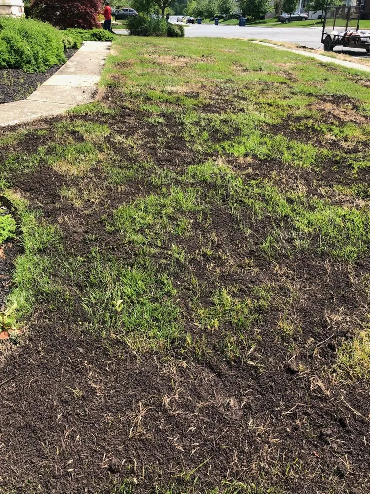 Custom yard maintenance experts serving Leesburg, VA - American Lawn Brothers