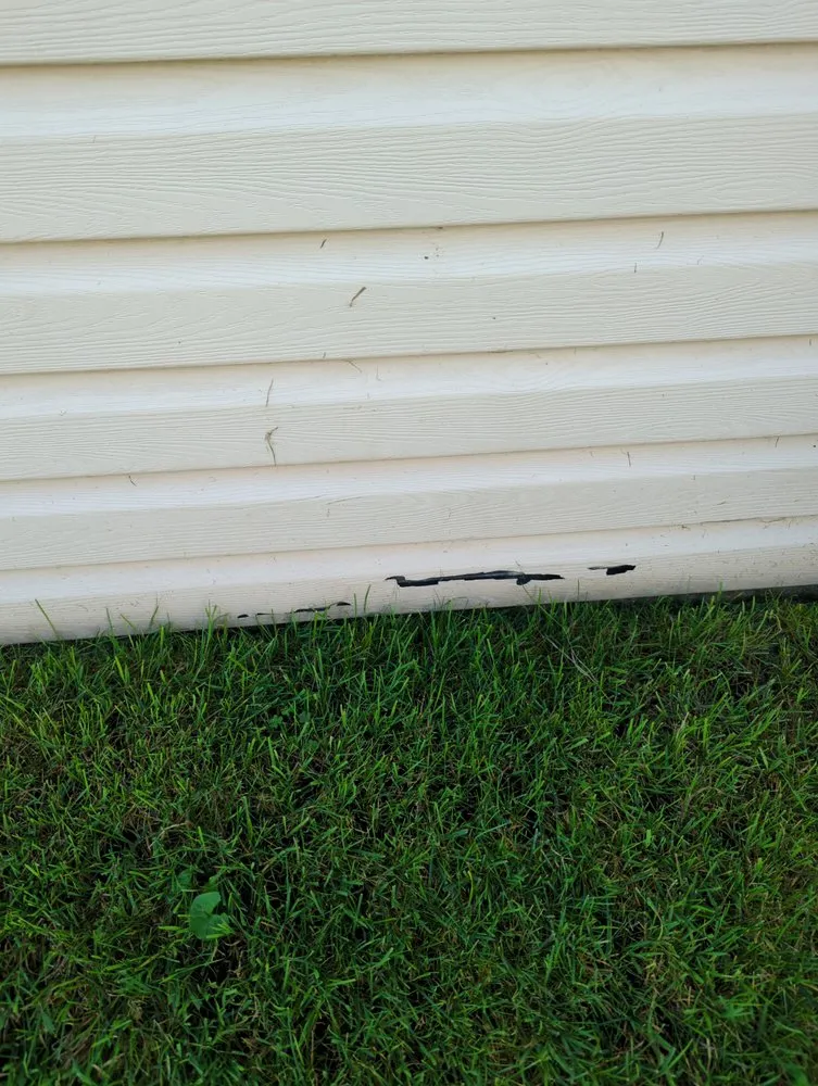 Affordable lawn mowing service for homes in New Baltimore, MI by American Lawn Care & More