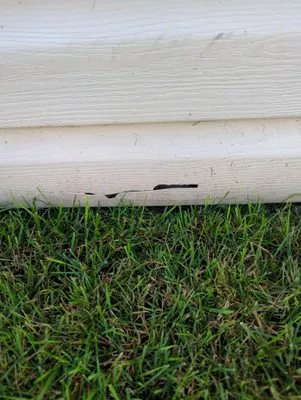 American Lawn Care & More Logo