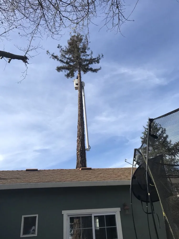 Custom residential landscaping for residential properties across Winter Garden, FL - American Lawn Care Experts