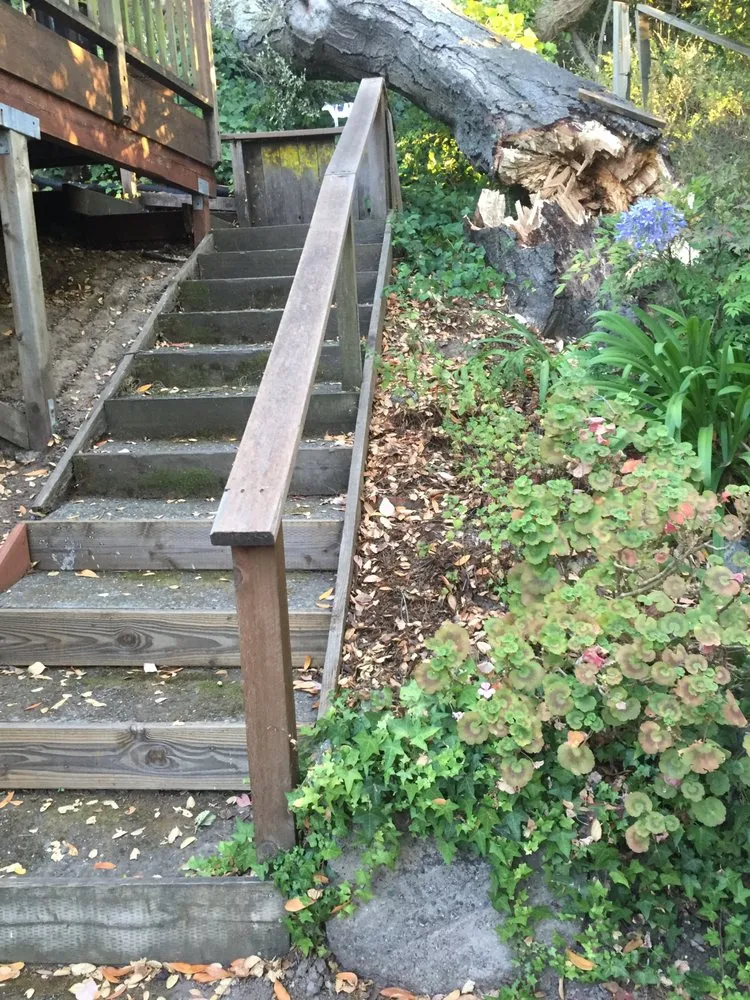 Professional lawn care service experts serving Winter Garden, FL - American Lawn Care Experts