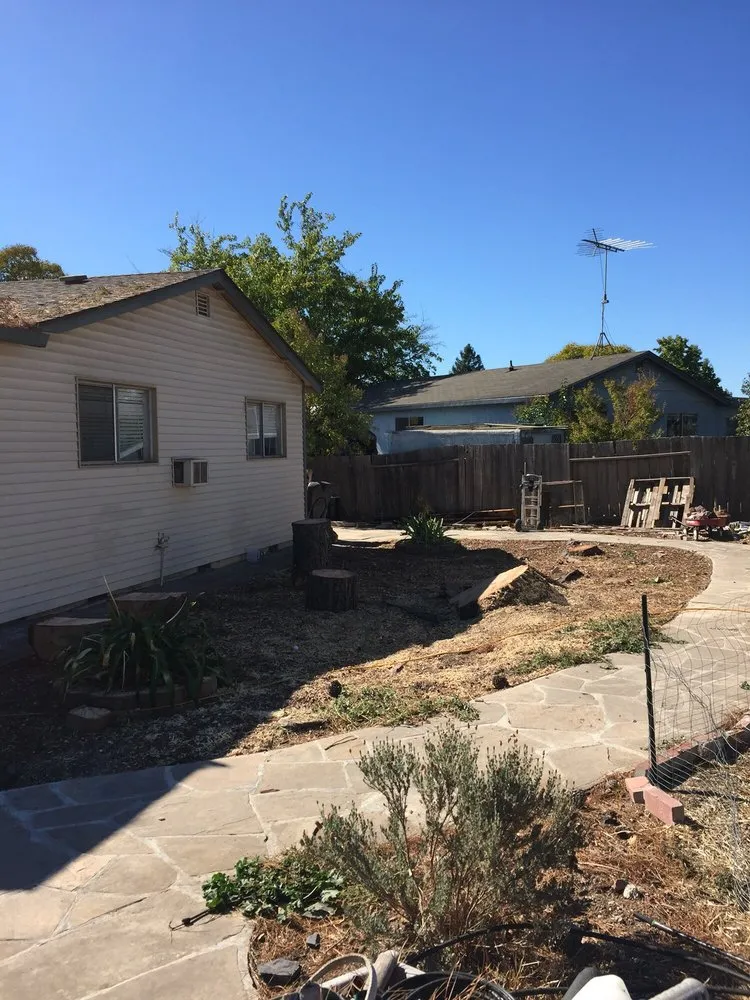 Reliable residential landscaping for residential properties across Winter Garden, FL - American Lawn Care Experts