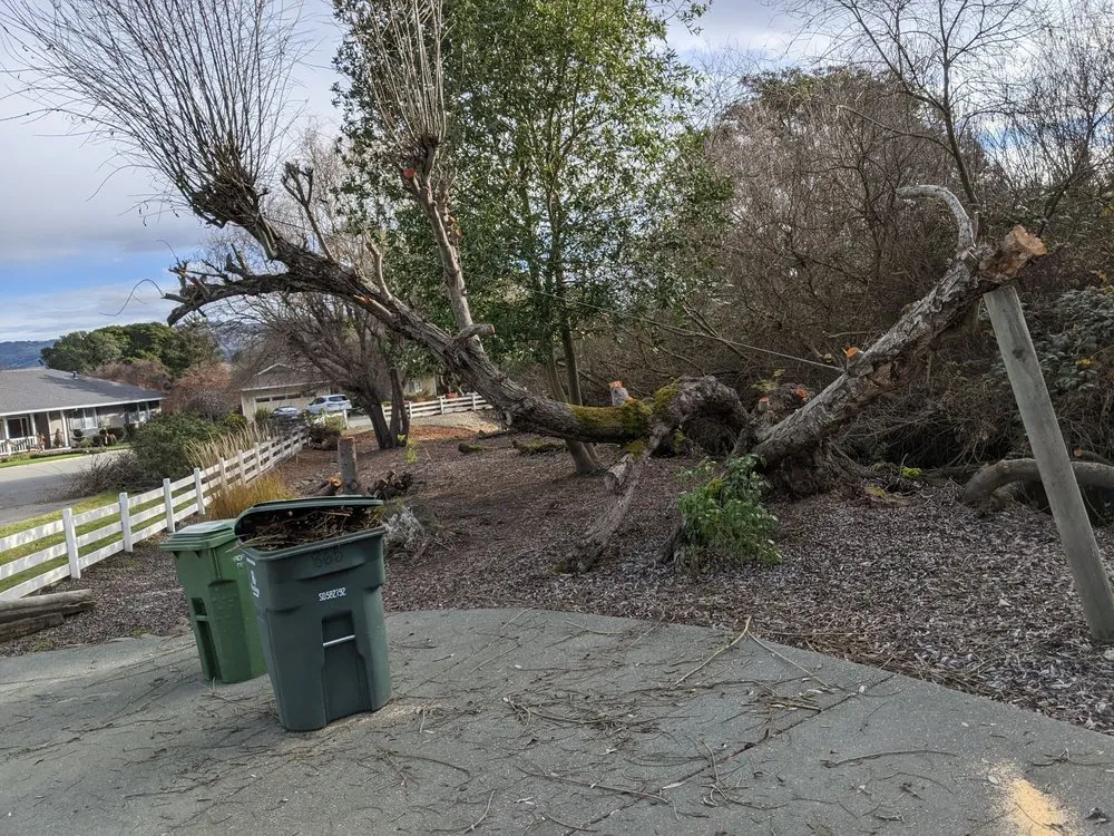 Local residential landscaping for beautiful yards across Winter Garden, FL - American Lawn Care Experts