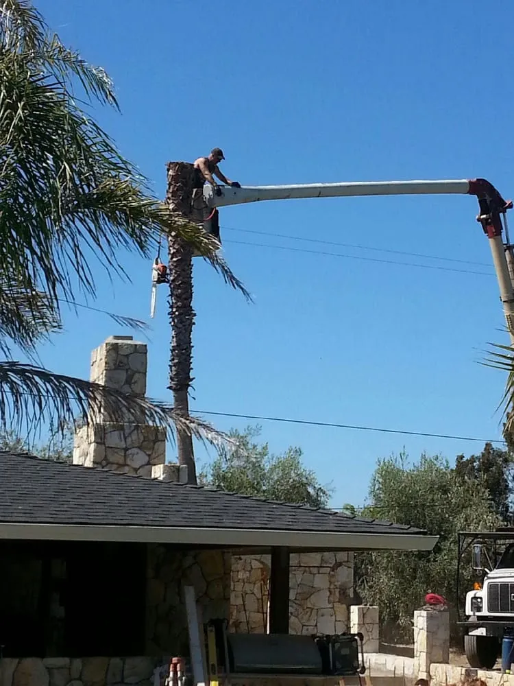 Top-rated landscape installation for beautiful yards in Winter Garden, FL by American Lawn Care Experts