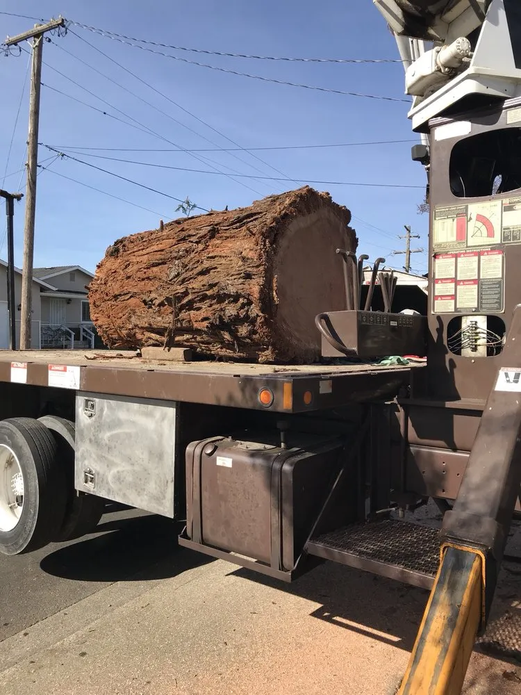 Affordable yard maintenance in Winter Garden, FL - American Lawn Care Experts