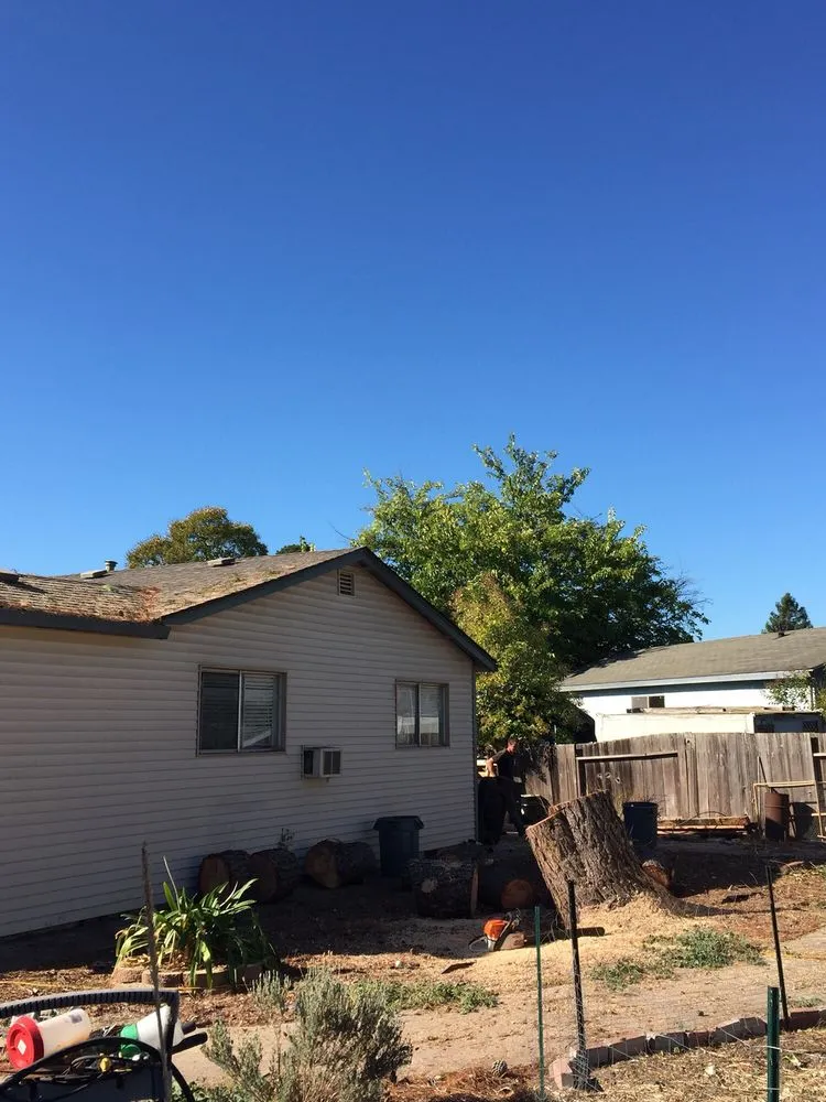 Affordable landscape design in Winter Garden, FL by American Lawn Care Experts