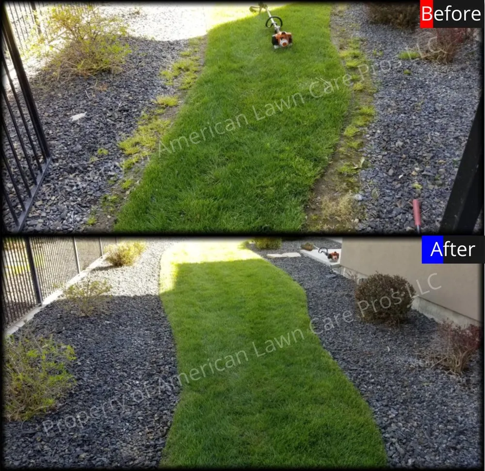 Trusted yard cleanup service in Eagle, ID - American Lawn Care Pros