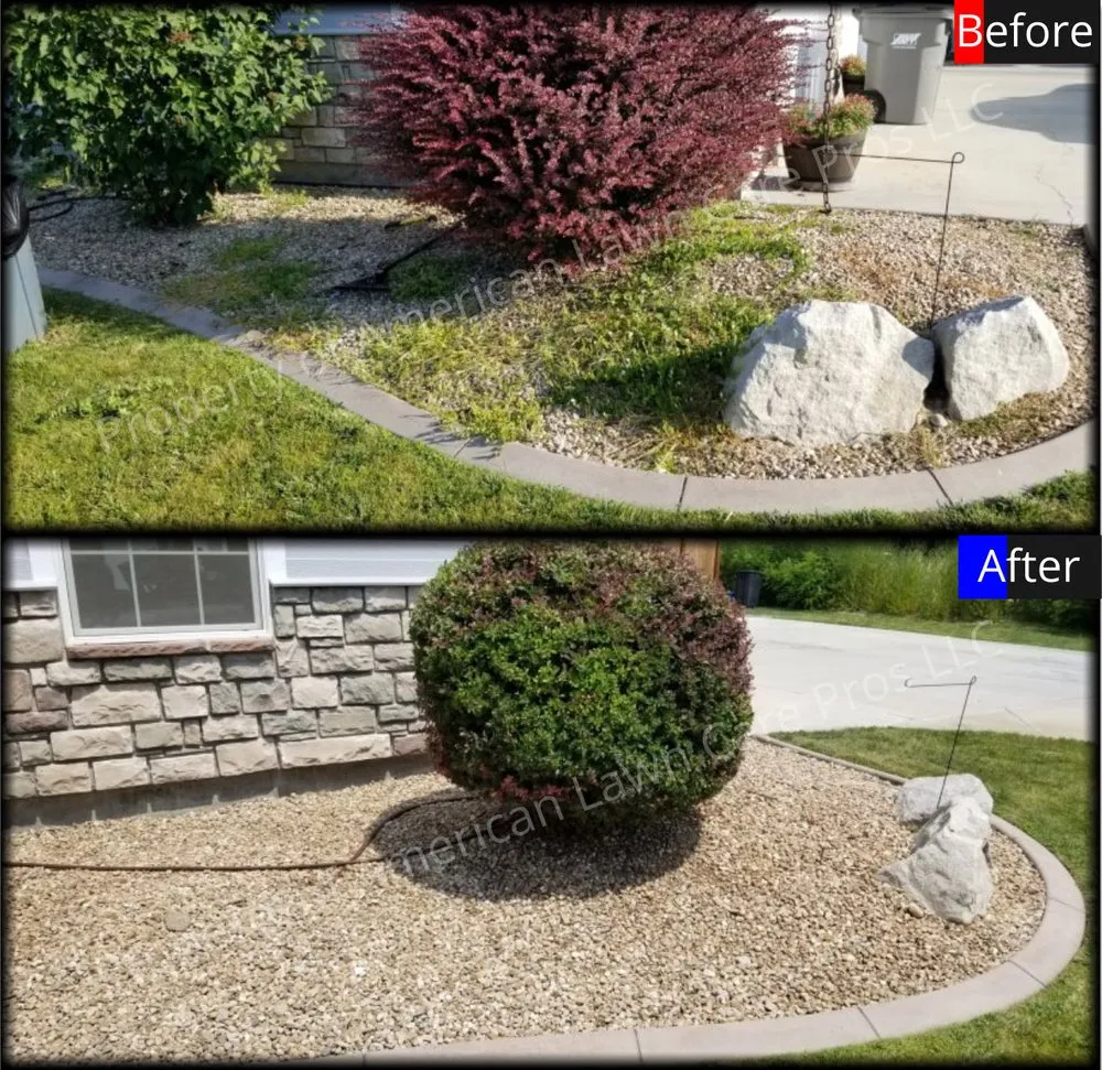 Expert lawn mowing service for year-round maintenance across Eagle, ID - American Lawn Care Pros