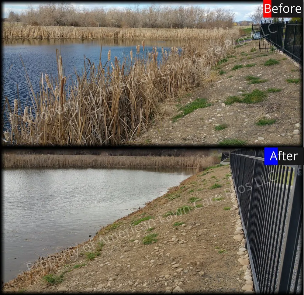 Affordable lawn care service in Eagle, ID by American Lawn Care Pros