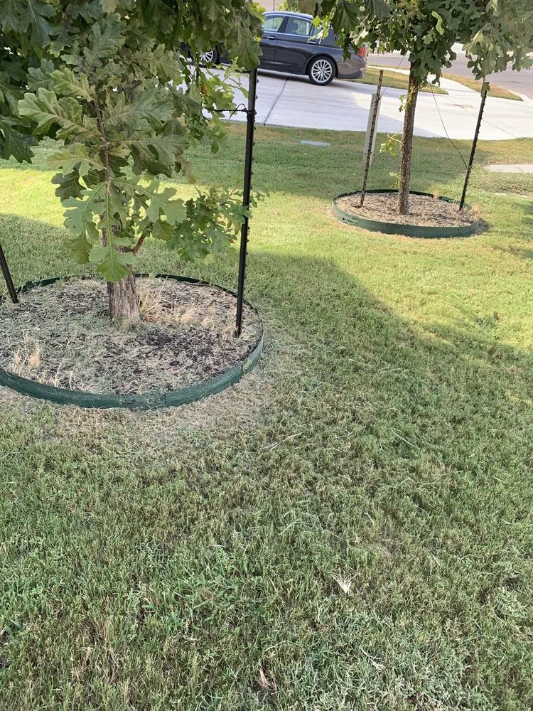 Affordable yard maintenance in Cibolo, TX by American Lawn Cutters