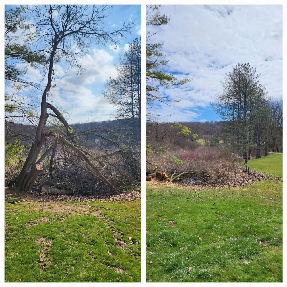 Top-rated yard cleanup service near you in Lodi, OH by American Lawn Guys