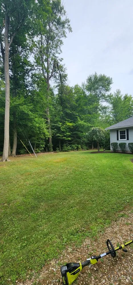 Affordable landscaping services in Lodi, OH by American Lawn Guys