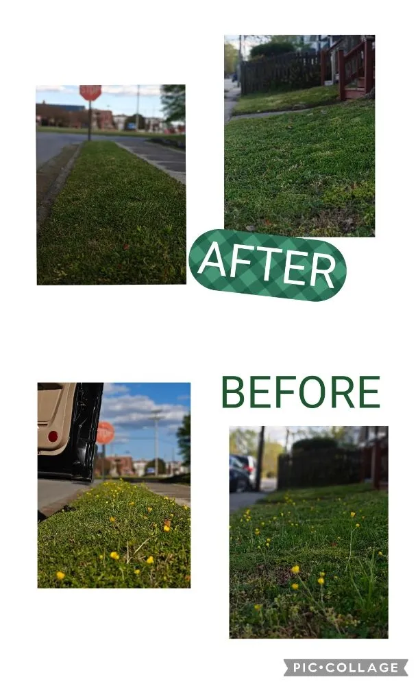 Professional landscape installation experts serving Elizabeth City, NC - American Lawn Management