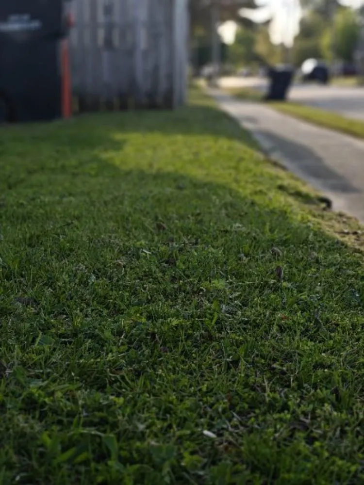 Trusted garden landscaping in Elizabeth City, NC - American Lawn Management