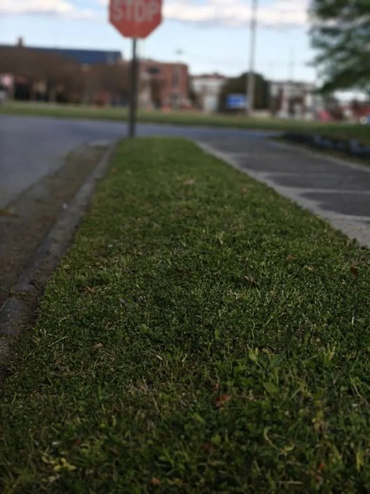 Trusted outdoor landscaping for beautiful yards in Elizabeth City, NC by American Lawn Management