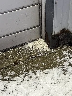 American Lawn Service Logo