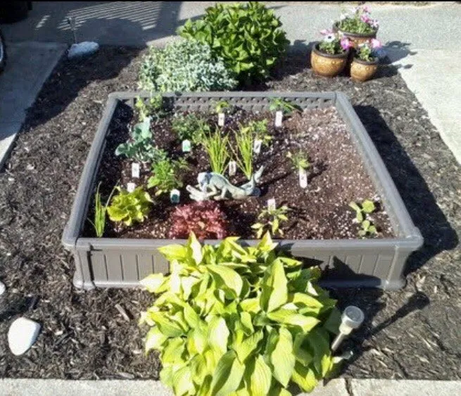 Reliable lawn mowing service experts serving Portsmouth, RI - American Lawn Service