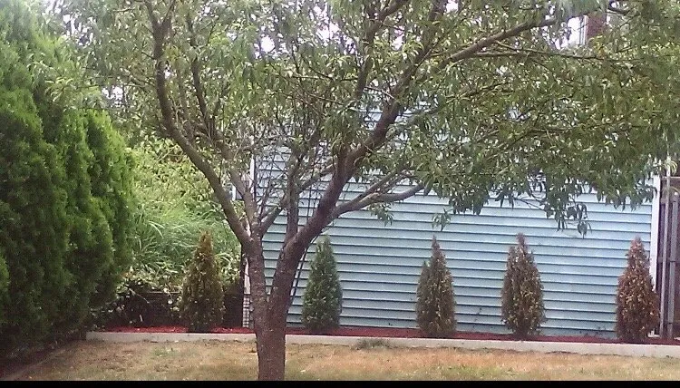 Trusted landscaping services with custom design in Portsmouth, RI by American Lawn Service