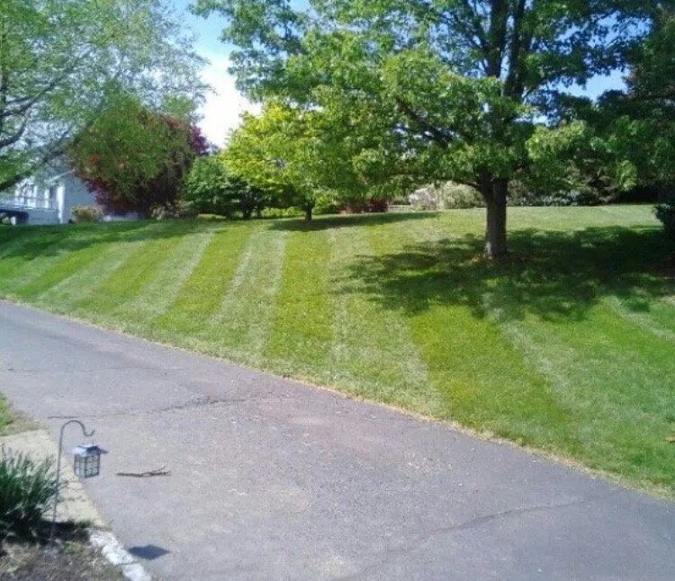 Professional landscape design for year-round maintenance across Portsmouth, RI - American Lawn Service