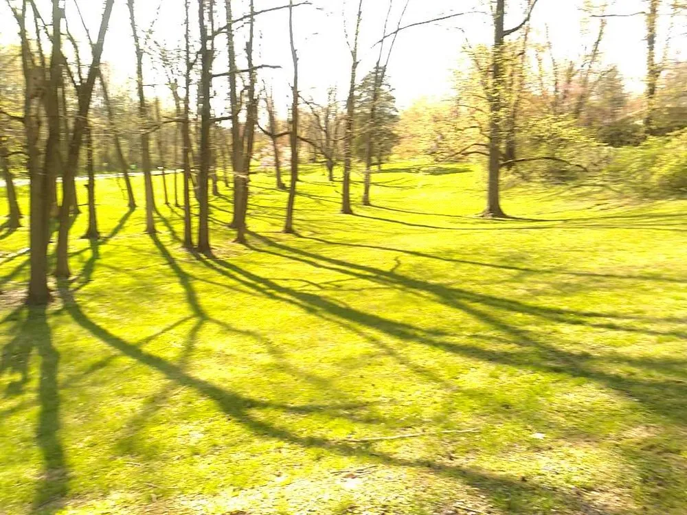 Local landscaping services near you across Evansville, IN - American Lawncare and Landscape