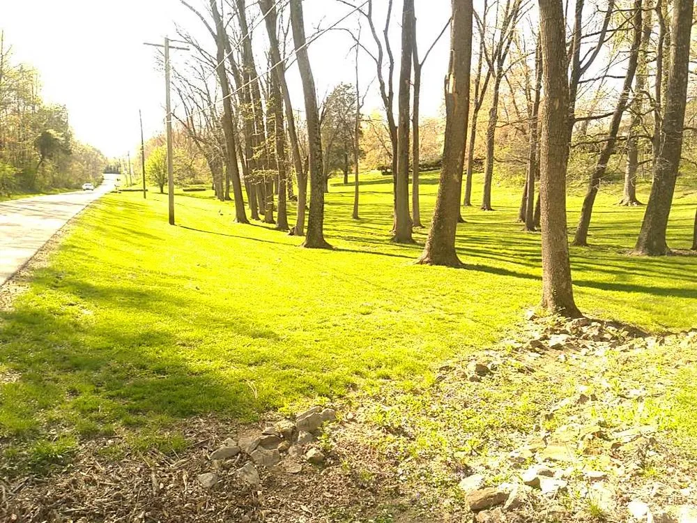 Expert yard maintenance in Evansville, IN by American Lawncare and Landscape