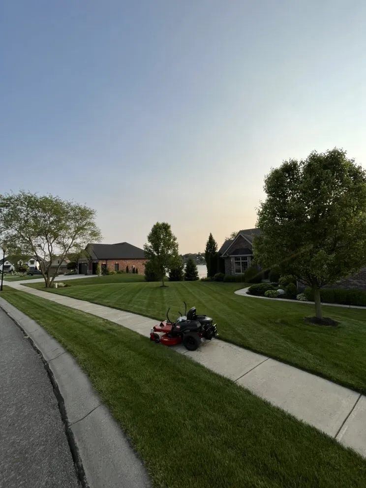 Top-rated yard cleanup service experts serving Cicero, IN - American Lawns