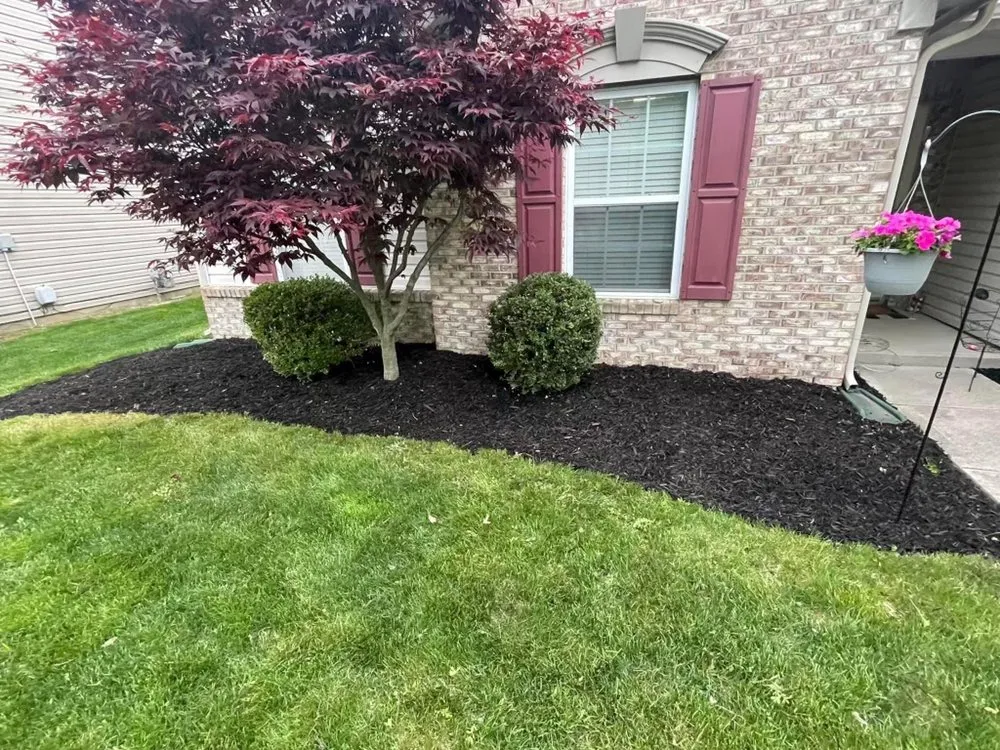Affordable yard maintenance in Cicero, IN - American Lawns
