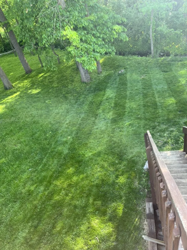 Expert landscape design in Cicero, IN - American Lawns