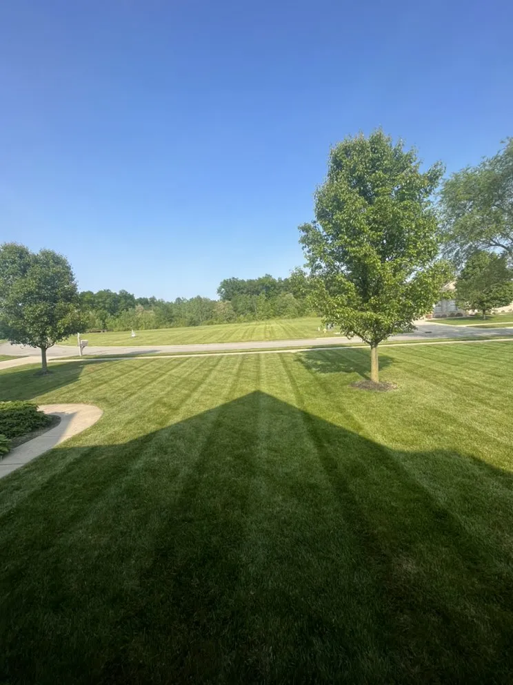 Trusted lawn mowing service with custom design in Cicero, IN by American Lawns
