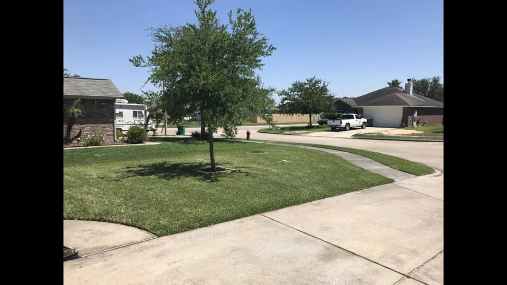 Professional lawn care service experts serving La Marque, TX - American Lawns