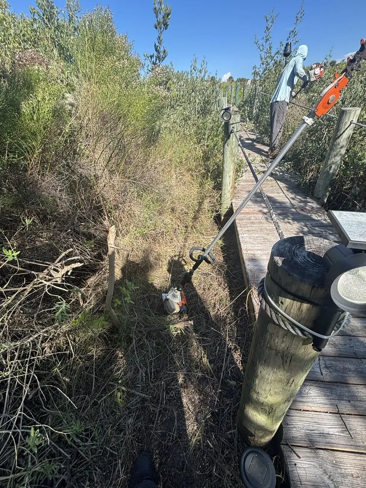 Reliable yard maintenance near you in Daytona Beach, FL by American Level